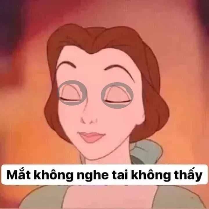 meme mất ngủ 12