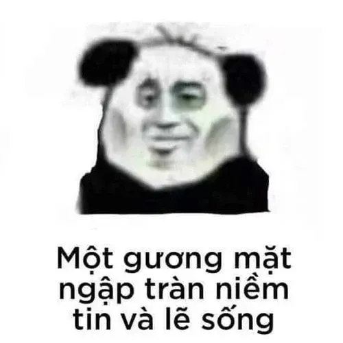 meme mất ngủ 23