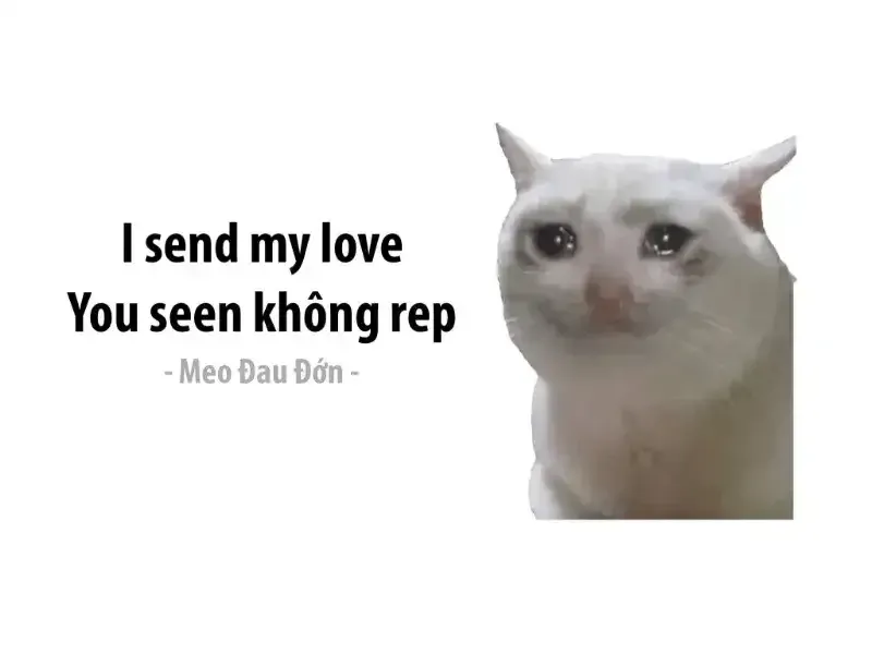 meme mệt mỏi 31