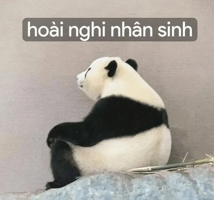 meme nghi ngờ 21