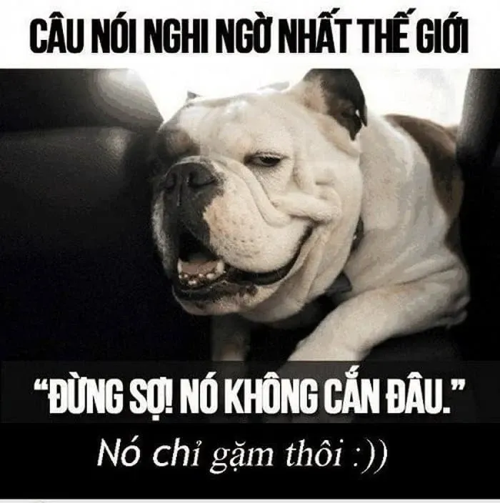 meme nghi ngờ 23