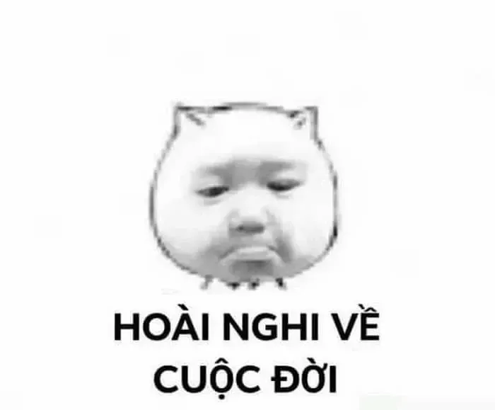 meme nghi ngờ 39