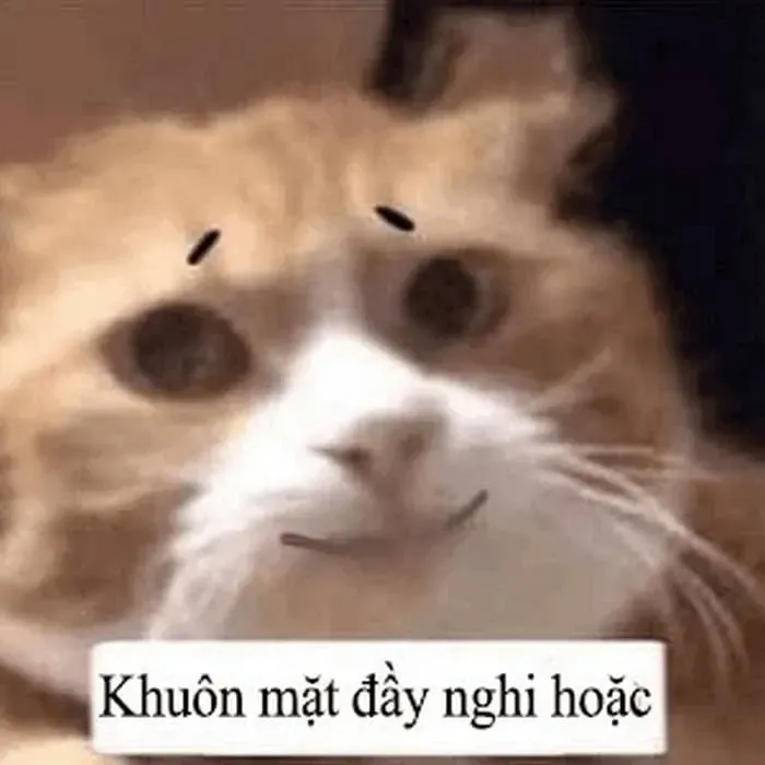 meme nghi ngờ 44