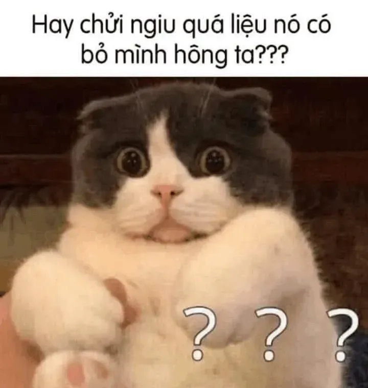 meme nghi ngờ 45