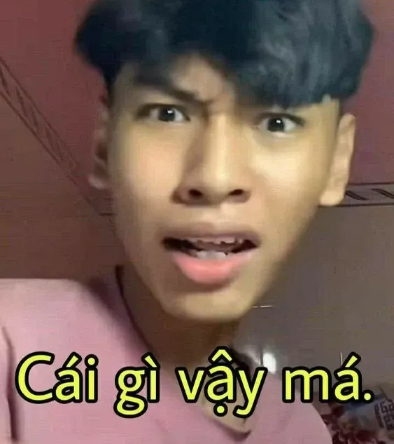 meme người 9