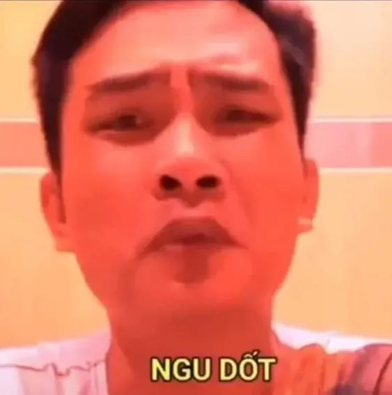 meme người 19