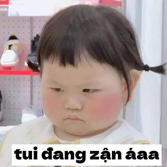 meme người 22