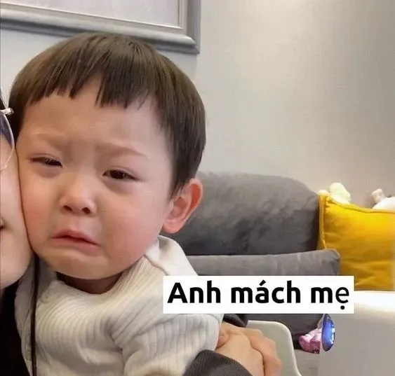 meme người 31