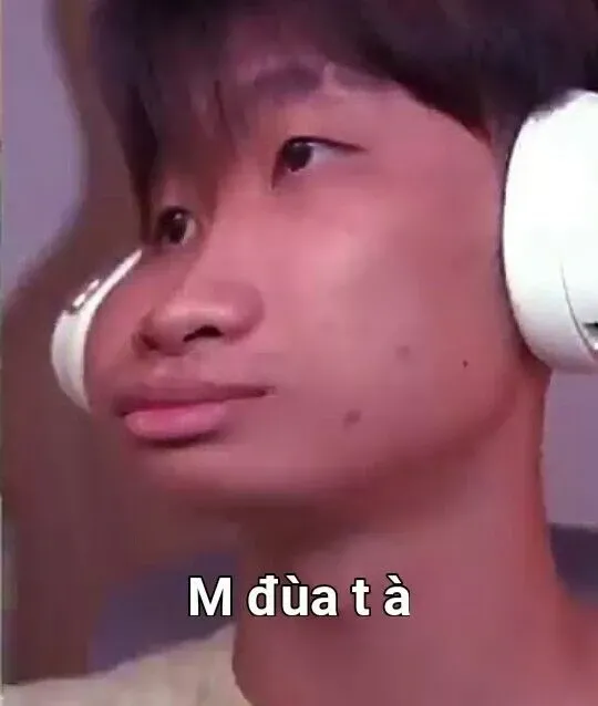 meme người 40