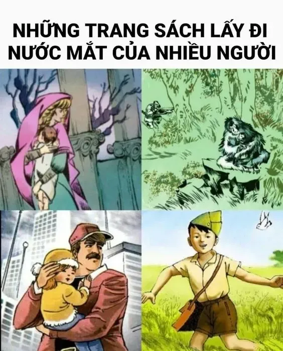 meme nhân văn 23