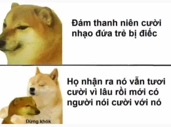 meme nhân văn 31