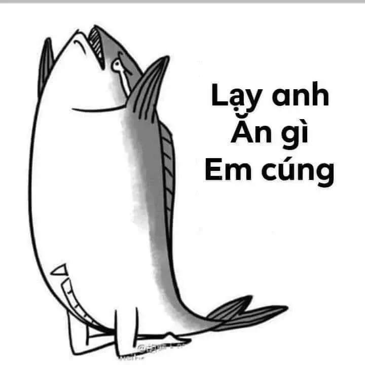 meme quỳ lạy 4