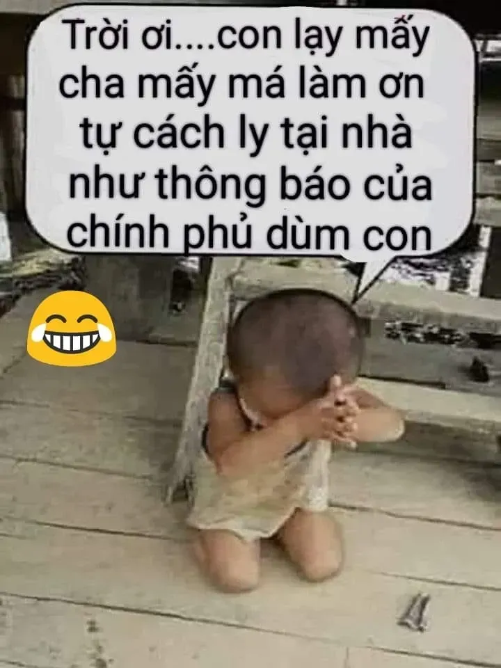 meme quỳ lạy 37