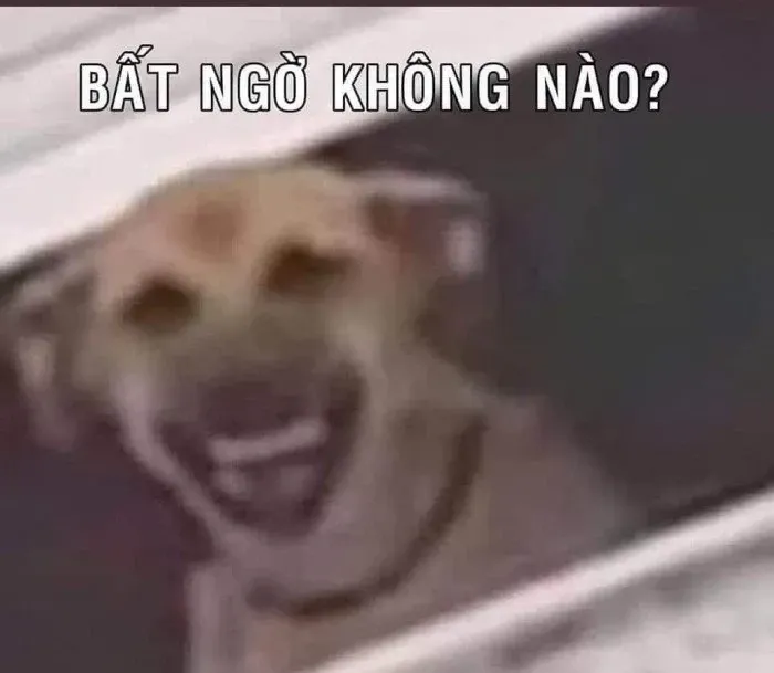 meme sốc 15