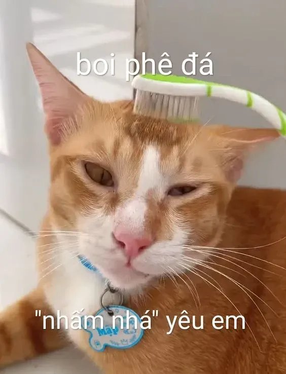 meme thả thính 9