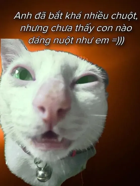 meme thả thính 14