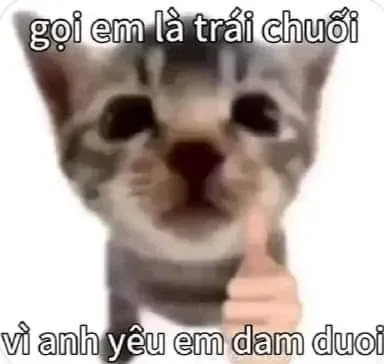 meme thả thính 41