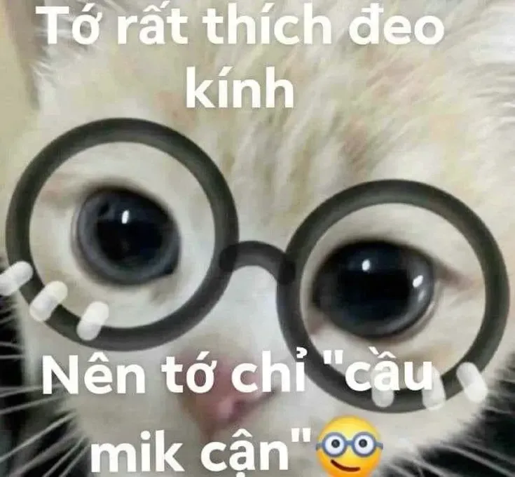 meme thả thính 50