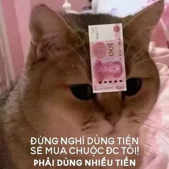 meme tiền 3