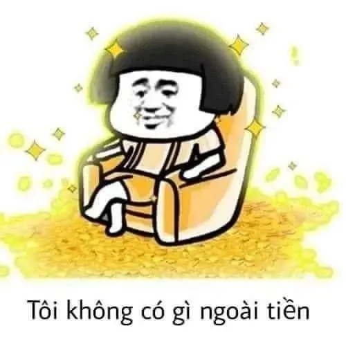 meme tiền 13