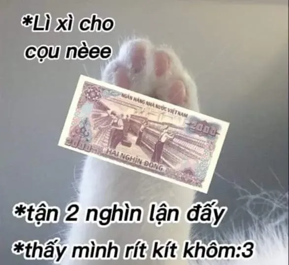 meme tiền 14