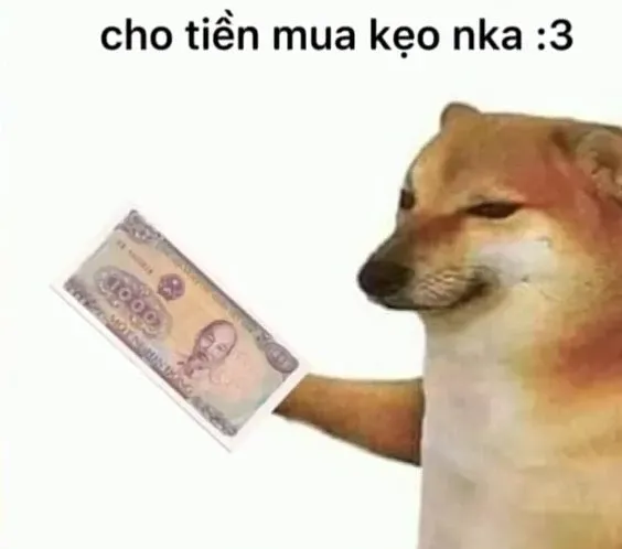 meme tiền 45