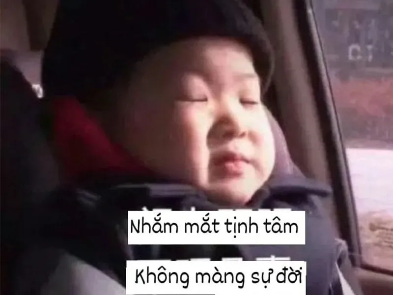 meme tịnh tâm 5