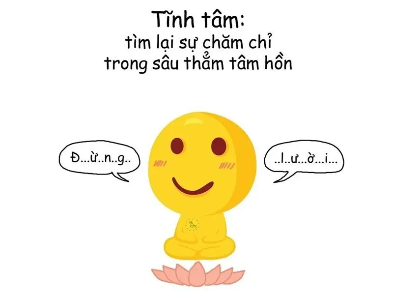 meme tịnh tâm 10