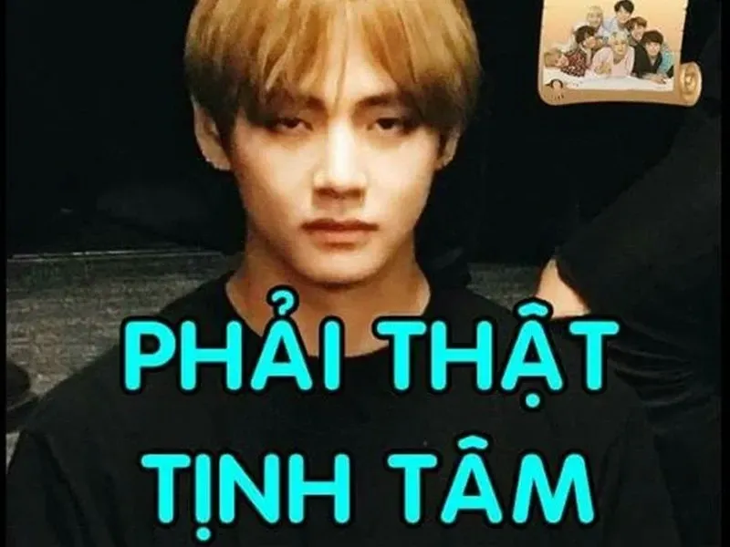 meme tịnh tâm 18