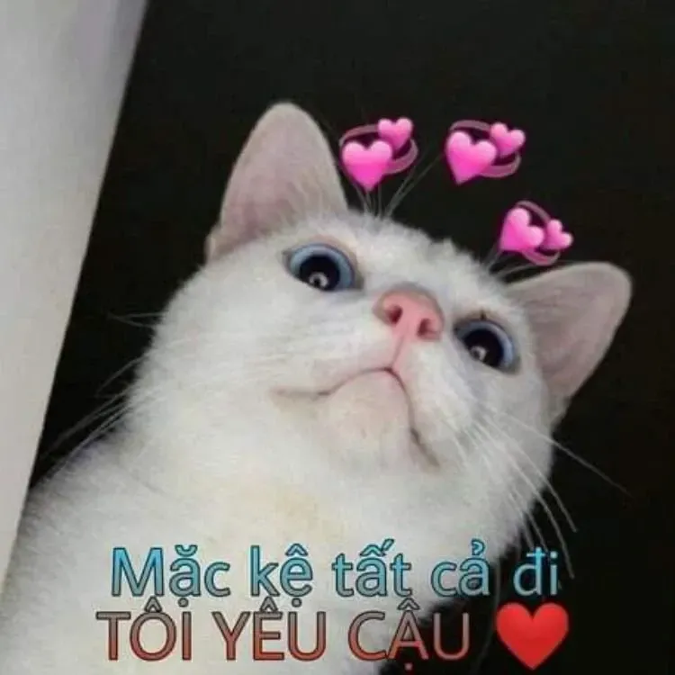 meme tỏ tình 32