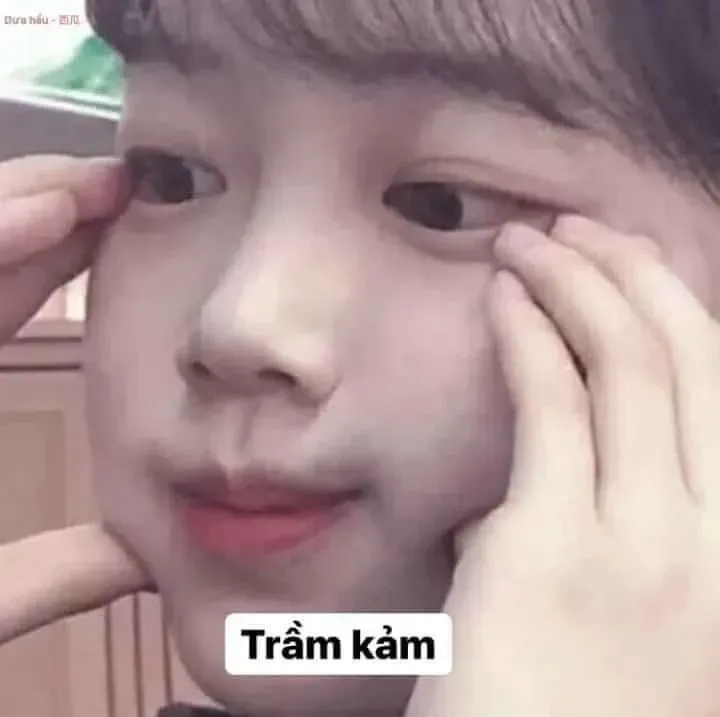 meme trầm cảm 29