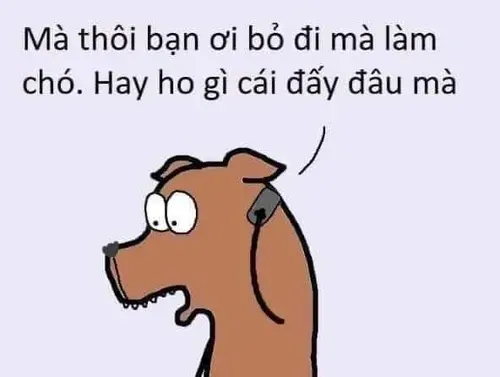 meme từ chối 39