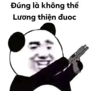 meme từ chối 45