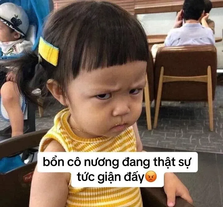 meme tức 31