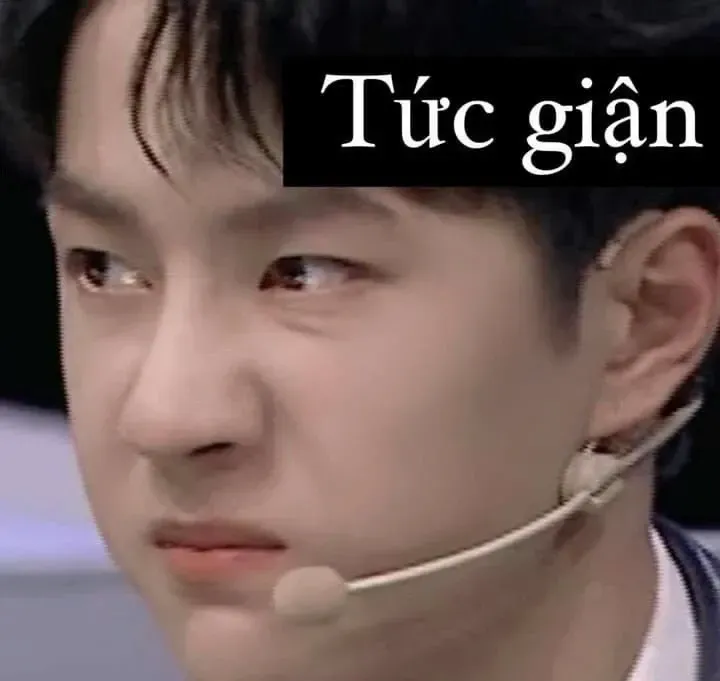 meme tức 41