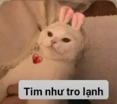 meme tủi thân 7