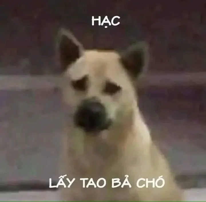 meme tủi thân 34