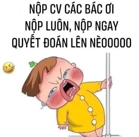 meme tuyển dụng 34