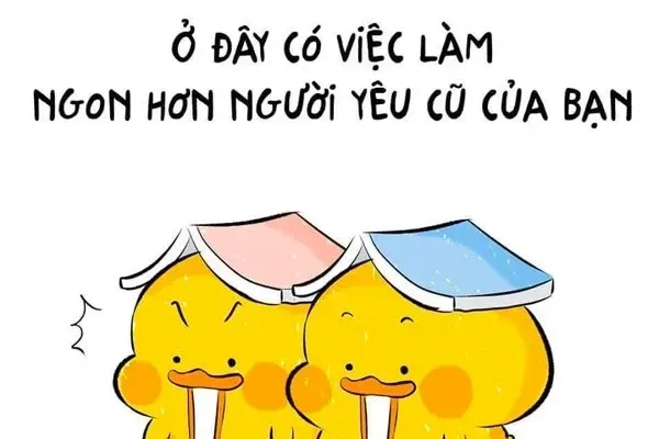 meme tuyển dụng 35