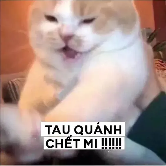 meme tuyệt vọng 32