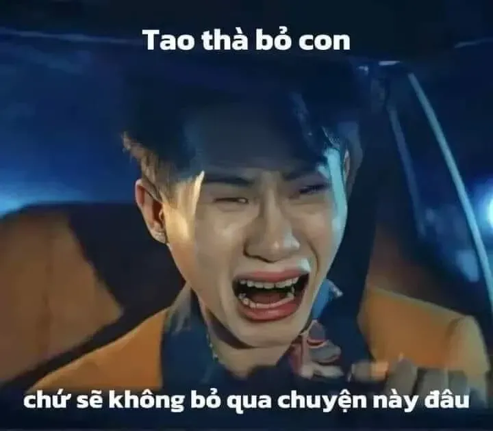 meme việt 8