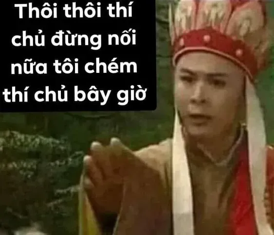 meme việt 11