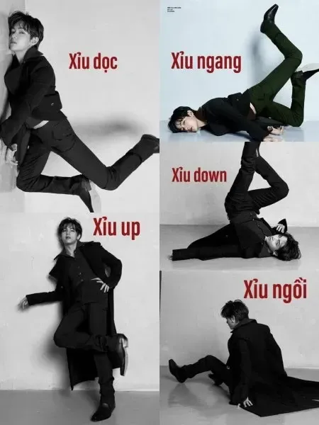 meme xỉu 5