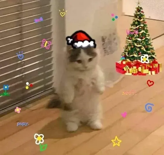 mèo noel meme 5