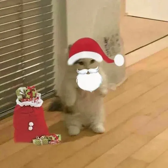 mèo noel meme 10