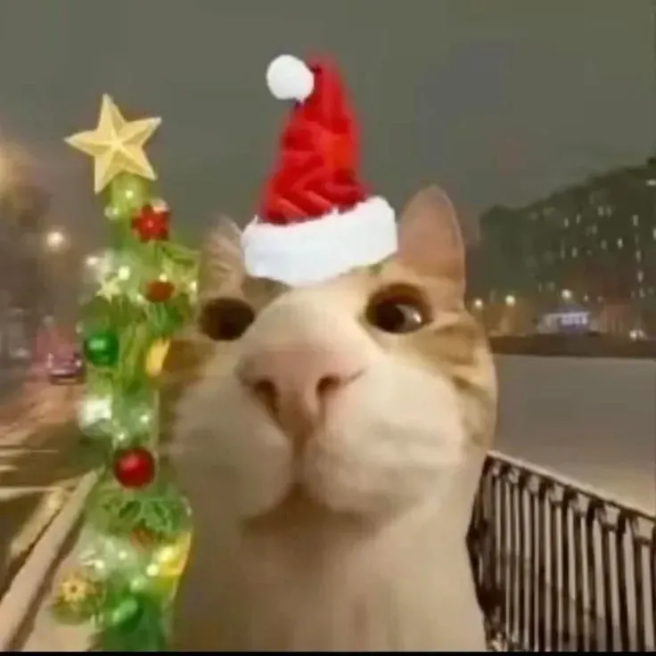 mèo noel meme 11