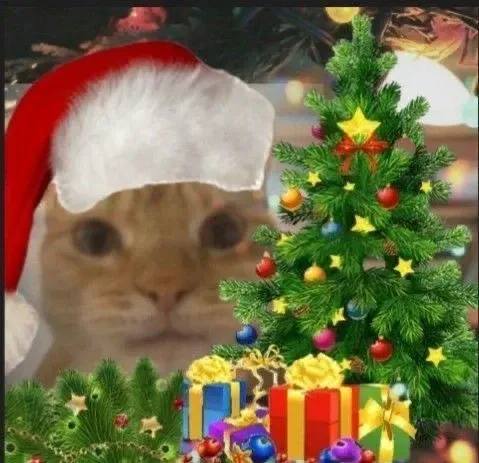 mèo noel meme 16