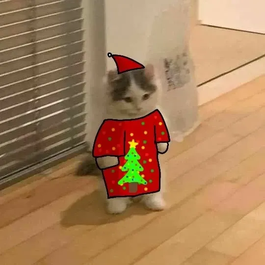 mèo noel meme 37