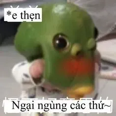 ngại meme 7