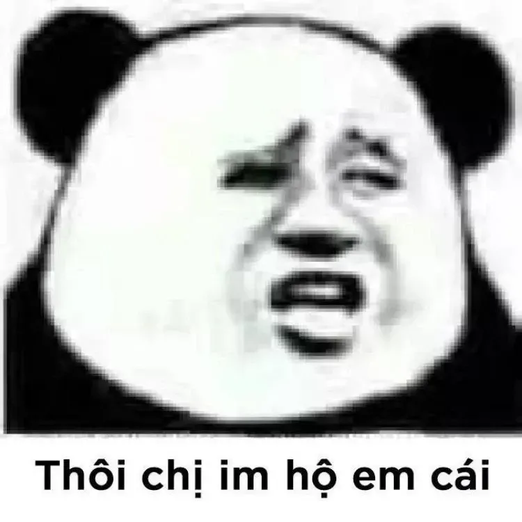 panda meme 9